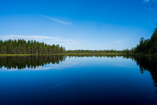 lake in the forest