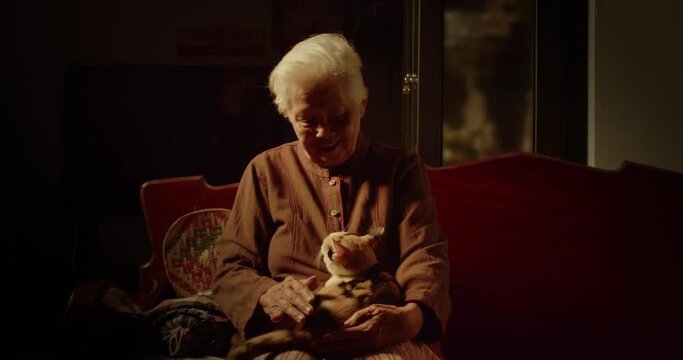 Slow motion scenes in warm tone at night of Asian woman which is an elderly person who is lonely sitting softly and affectionately stroking her cat lying on his lap.