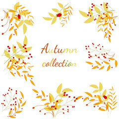 Set of autumn leaves and berries. Autumn collection. For your design.