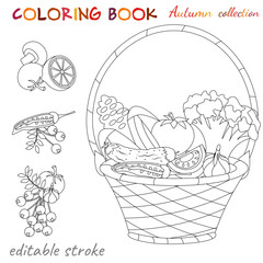 Fototapeta premium Autumn collection. Tomato, cucumber, cabbage, garlic are in the basket. Autumn still life. Relaxation coloring template.