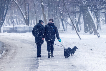 A man and a woman take a morning walk with their dogs in a winter park in the city of Khmelnytskyi,...