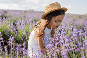 child with long hair and in straw hat in meadow with blooming lavender.