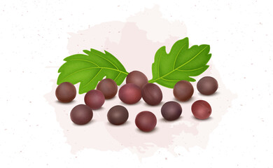 Red Mustard seeds vector illustration with green leaves isolated on white background