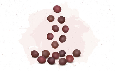 Vector illustration of Red Mustard Seeds