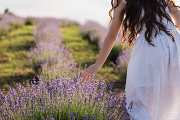 cropped view of woman in white dress near lavender in field.