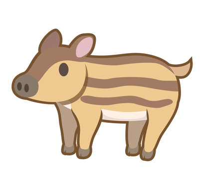 うり坊 の画像 114 621 件の Stock 写真 ベクターおよびビデオ Adobe Stock