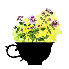 black tea cup with watercolor medicinal plants, herbal tea, , hand drawn illustration