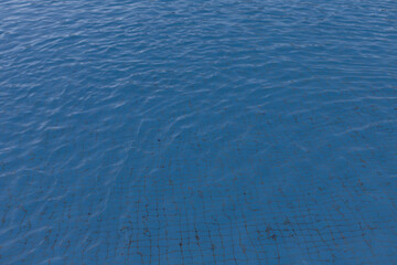 Turquoise pool water texture with tiles