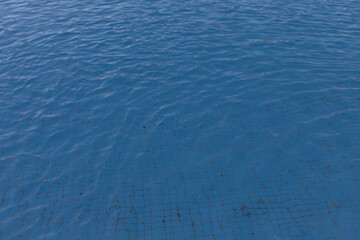 Turquoise pool water texture with tiles