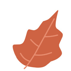 Autumn leaf