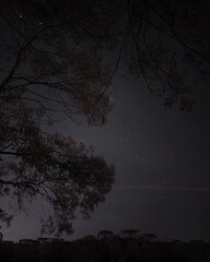 Fototapeta premium night lapse