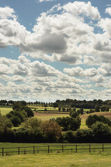 Fototapeta na wymiar Rolling countryside with trees and farmland under a blue cloudy sky in summer.