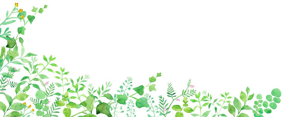 グリーンの草花の横長装飾バナー背景。　水彩イラスト（透過背景）