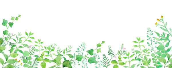 グリーンの草花の横長装飾フレーム。　水彩イラスト（透過背景）