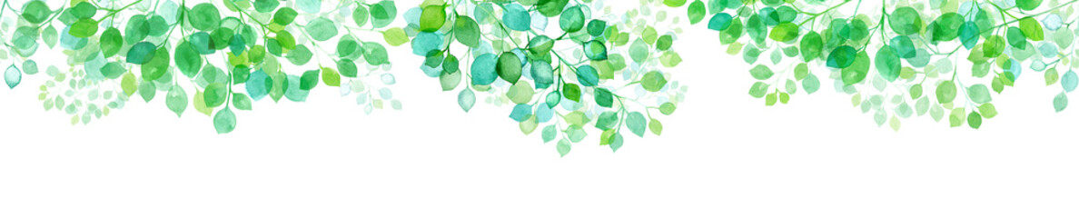 Fototapeta 新緑。木漏れ日の背景。水彩イラスト。（透過背景） obraz