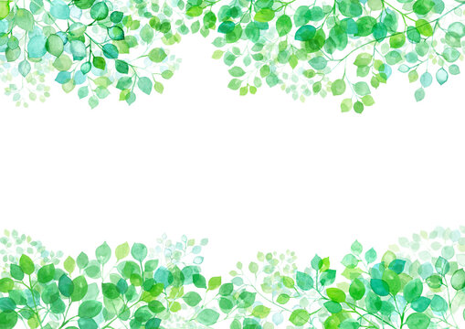 木漏れ日のフレームデザイン。新緑の枝葉の水彩イラスト。（透過背景）