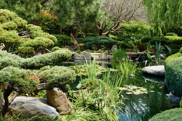 Japanese Zen garden with lush plants surrounding a fish pond