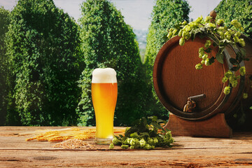 Oktoberfest holiday event. Wooden beer barrel and glasses with frothy beer, wheat and hops on wooden table green nature landscape background. - obrazy, fototapety, plakaty