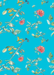 Pink roses on blue background