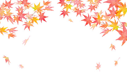 赤く色づいた秋の紅葉の枝と落葉。水彩イラスト。アーチ型フレームデザイン。（透過背景）
