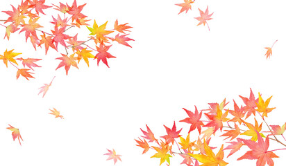 赤く色づいた秋の紅葉の枝と落葉。水彩イラスト。２隅装飾フレームデザイン。（透過背景）