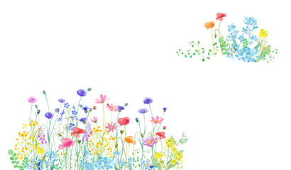 Fototapeta na wymiar 色々な花が咲き乱れる、春の野原の水彩イラスト。２隅装飾フレームデザイン。（透過背景）
