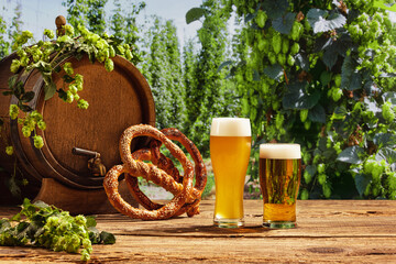 Vintage beer barrel and glasses with frothy beer, wheat and hops on wooden table over hop gardens...