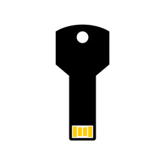 Key shaped USB icon isolated on white background, Flash drive flat icon for apps and websites, vector illustration