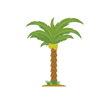 coconut tree, palm tree illustration vector design, Coconut tree icon isolated on white background from ecology collection.