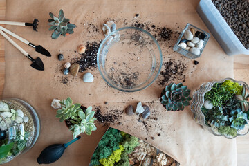 Decorating process of florarium with natural flowers and stones.