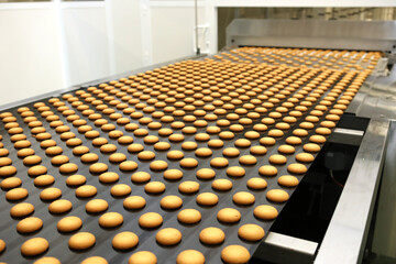 Controlling the work of huge conveyor machine producing spice cakes at the confectionary plant. Cookie production line. Innovative biscuit production.