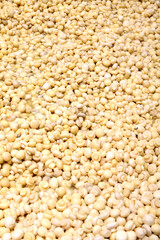 Factory for the production of canned champignons. Washing, conveyor, cleaning and packaging of champignons.