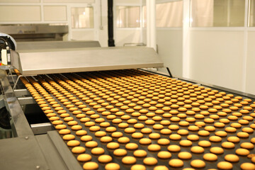 Controlling the work of huge conveyor machine producing spice cakes at the confectionary plant. Cookie production line. Innovative biscuit production.