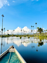 boats on the lake