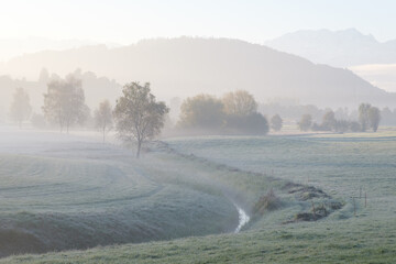 Landscape with little stream and frosty meadow in fog
