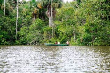 boat in river in the jungle