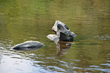 Felsen liegen im Fluss 