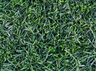 Abstract city textures during summertime