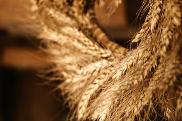 Close-up of wreath of spikelets. Boho style. Ripe wheat. Harvest.