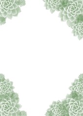 Creative frame in the background. Background with transparent frame. Beautiful abstract background. Beautiful background with green frame. Frame with leaves and flowers. Beautiful frame with plants.