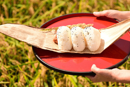 野外炊飯 の画像 4 354 件の Stock 写真 ベクターおよびビデオ Adobe Stock