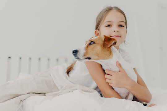 Little girl embraces small pedigree dog, stay in bed, plays with favourite pet before sleep, has appealing look, gazes camly into camera. Childhood and bed time concept. Kid hugs domestic animal