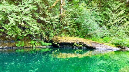 The bright green river and coniferous trees are very cold people swim in it now there is no one, silence, calmness, relaxation Englishman river falls park Parksville Qualicum Vancouver Island Canada.