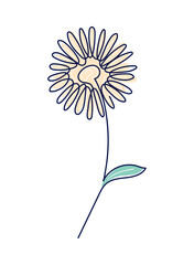 flower continuous line