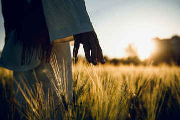 golden wheat field grass art hand