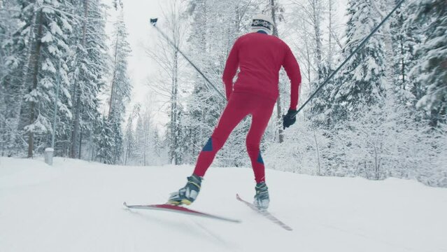 Cross country ski. Man in red suit skiing in the snowy forest