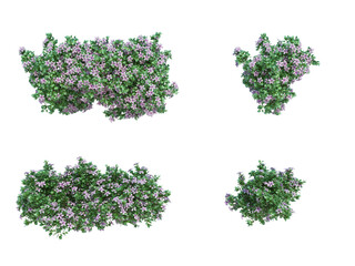 Obraz premium 3d Render Brush Tree Isolated on white