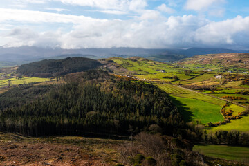 Naklejka premium Aerial view of summer forest countryside, Northern Ireland 