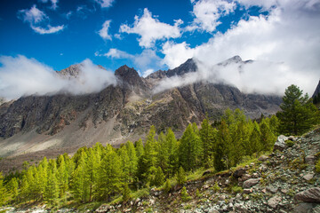 Fototapeta premium Landscape with rocks in the clouds