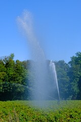 Trockenheit in Deutschland Bew&auml;sserung von Feldern